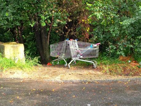 Tutte le foto degli accampamenti abusivi di Via del Cappellaccio. Ma, signori, le foto non rendono...