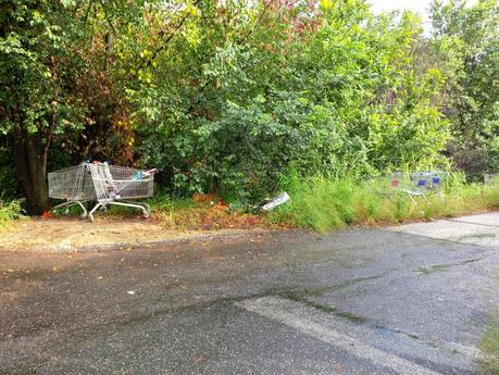 Tutte le foto degli accampamenti abusivi di Via del Cappellaccio. Ma, signori, le foto non rendono...