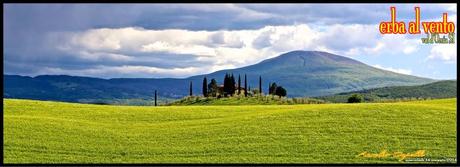 erba al vento, aspettando il passaggio di un temporale