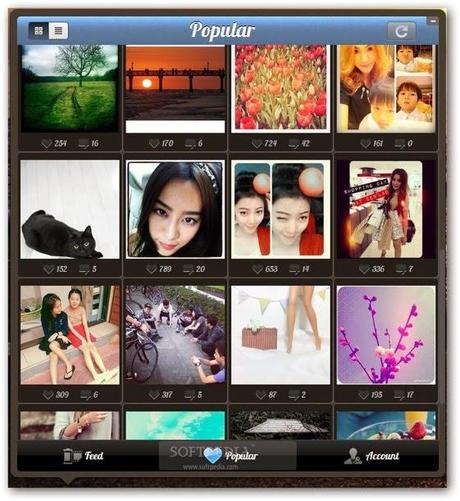 Instagrille funziona come un complemento del famoso Instagram, ma sul PC.