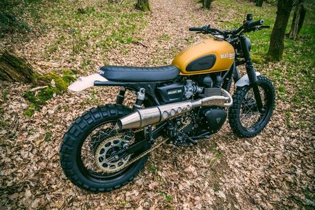 Triumph Mojave 900 by WalzWerk-Racing