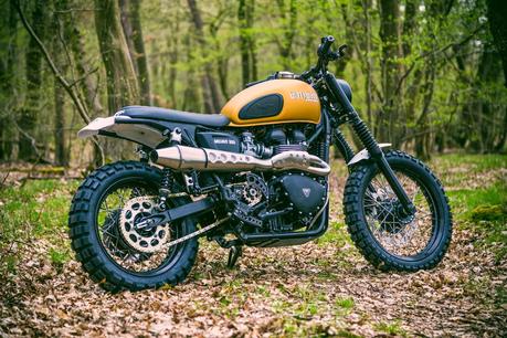 Triumph Mojave 900 by WalzWerk-Racing