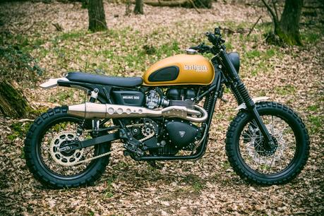 Triumph Mojave 900 by WalzWerk-Racing