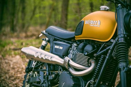 Triumph Mojave 900 by WalzWerk-Racing