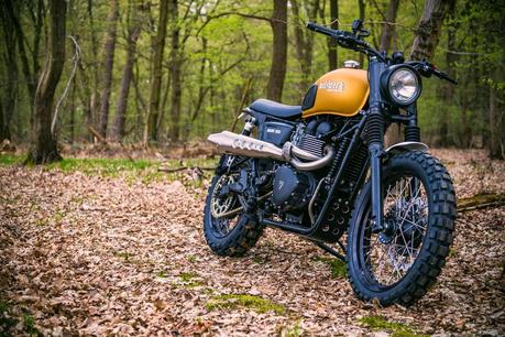 Triumph Mojave 900 by WalzWerk-Racing