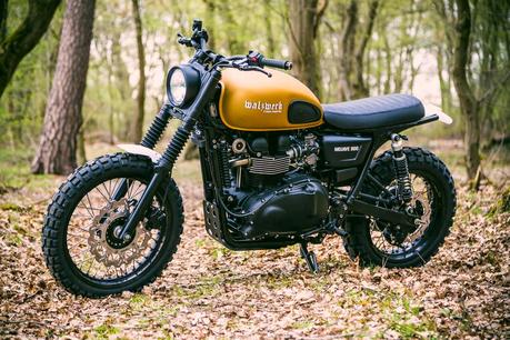 Triumph Mojave 900 by WalzWerk-Racing