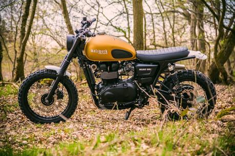 Triumph Mojave 900 by WalzWerk-Racing