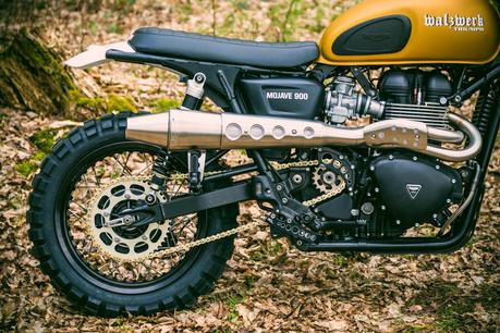 Triumph Mojave 900 by WalzWerk-Racing