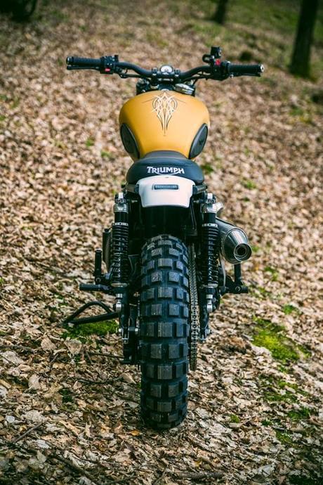 Triumph Mojave 900 by WalzWerk-Racing