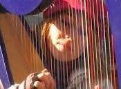 sparate sull’arpista