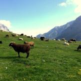 La Cantabria: dalla montagna al mare, tutto in un angolo di Spagna