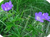 mondo psicopatico, voglio giudizio universale!