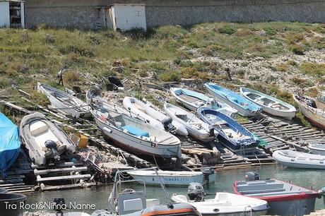 Isole Tremiti: San Domino