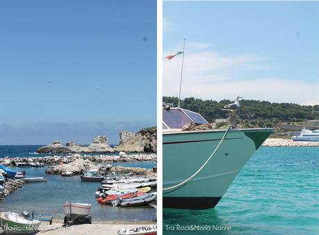 Isole Tremiti: San Domino