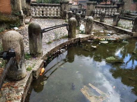 Oltre 40 foto per farvi rendere conto delle condizioni in cui è il Parco di Colle Oppio. Se fosse in qualsiasi altra città del mondo sarebbe un gioiello tutelatissimo