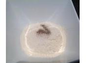 Anelli cipolla fritti