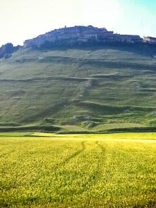 La fioritura delle lenticchie a Castelluccio