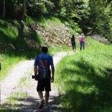 L’estate in montagna: relax e divertimento in Trentino nel consorzio Paganella