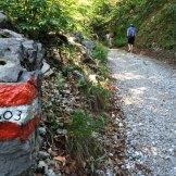 L’estate in montagna: relax e divertimento in Trentino nel consorzio Paganella
