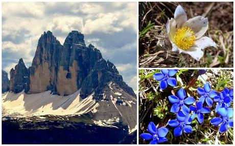 Alta Pusteria portami via: natura, ecotour, benessere ed enogastronomia sulle Dolomiti