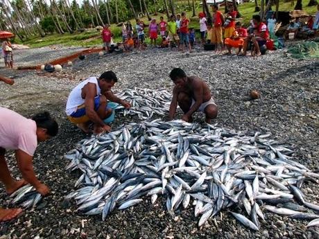 I lavori in Indonesia