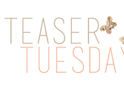 Teaser Tuesday Maybe Someday Colleen Hoover