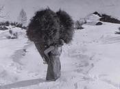 Miazzina, all'ombra sassi.