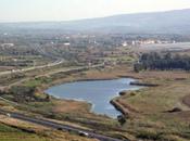 Lamezia Waterfront,occasione sviluppo