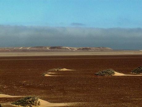 Deserto della Namibia