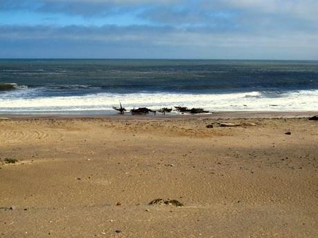 Skeleton Coast, Namibia