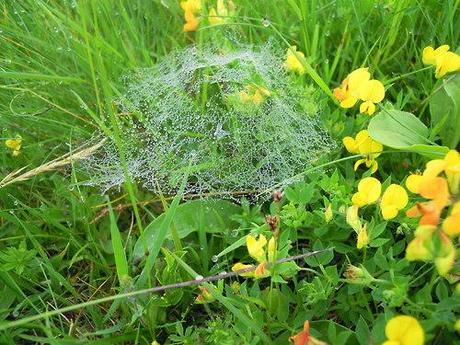 Piccole meraviglie della natura…
In gita con i bambini al...