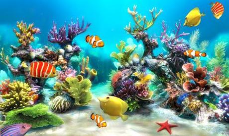  ACQUARIO   i migliori LIVE WALLPAPER per ANDROID