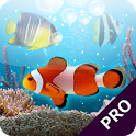  ACQUARIO   i migliori LIVE WALLPAPER per ANDROID