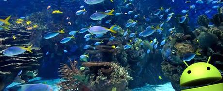 YahHM6f ACQUARIO   i migliori LIVE WALLPAPER per ANDROID