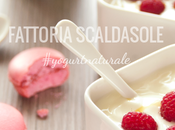 Fattoria scaldasole: yogurt