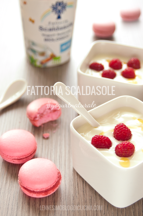 FATTORIA SCALDASOLE: LO YOGURT BIO