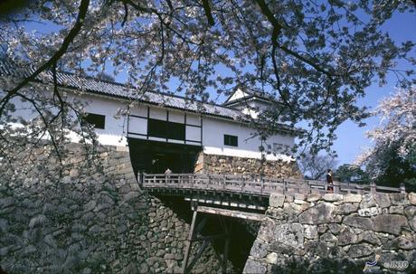 Il Castello di Hikone