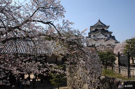 Il Castello di Hikone