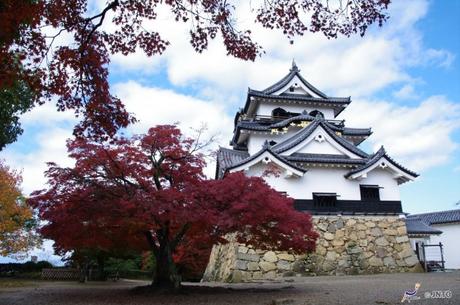 Il Castello di Hikone