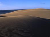Sulle dune sabbia Tottori