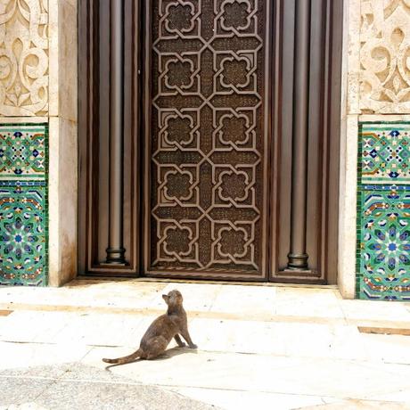 CASABLANCA GIACCA TUXEDO E T-SHIRT LIBERTY PER EVITARE L'EFFETTO TURISTA