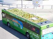 26/06/2014 Dalla Spagna: giardino urbano alloggia sugli autobus