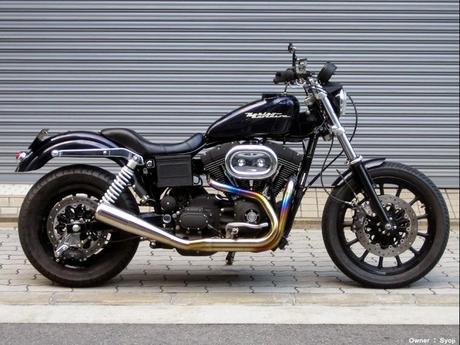 Harley FXDX Dyna 2000 by Tramp