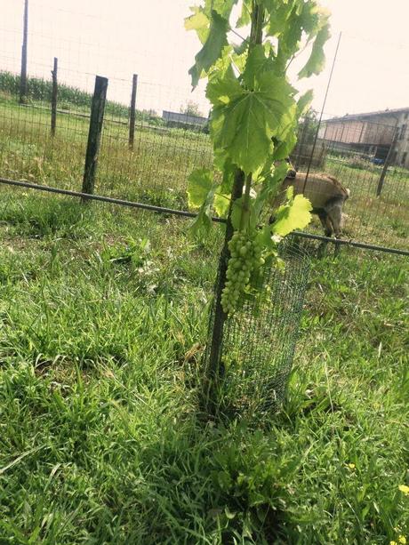 BENVENUTI NEL MIO PARADISO