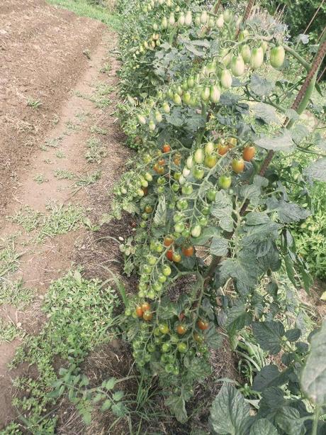 BENVENUTI NEL MIO PARADISO