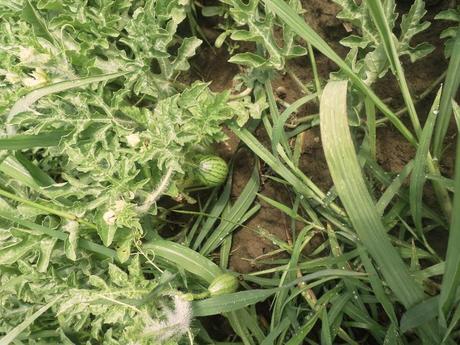 BENVENUTI NEL MIO PARADISO