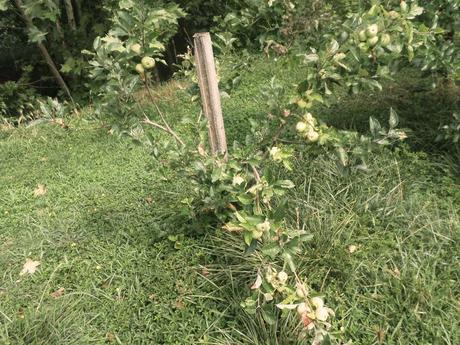 BENVENUTI NEL MIO PARADISO