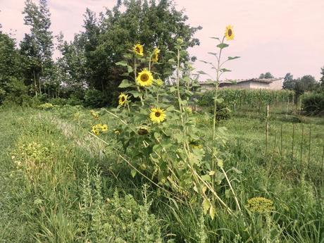 BENVENUTI NEL MIO PARADISO