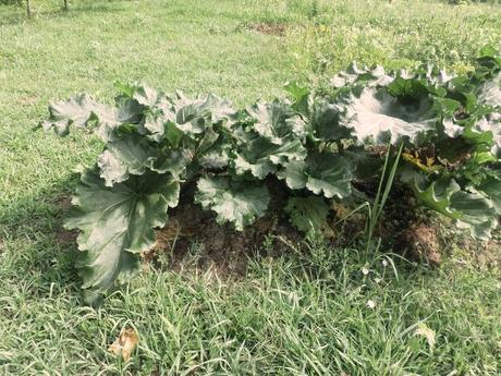 BENVENUTI NEL MIO PARADISO