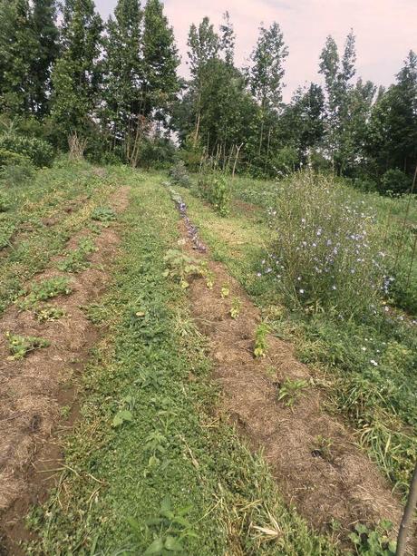 BENVENUTI NEL MIO PARADISO